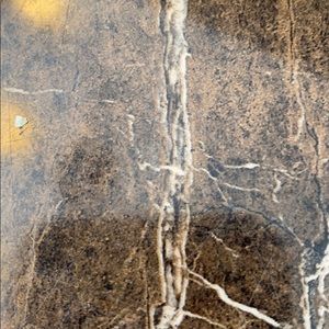 Meet your Posher, Conner